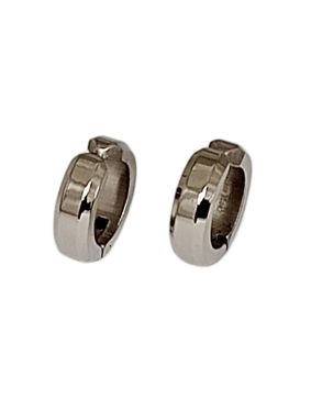 Bosie earrings ST hinged, push clasp STKK15033