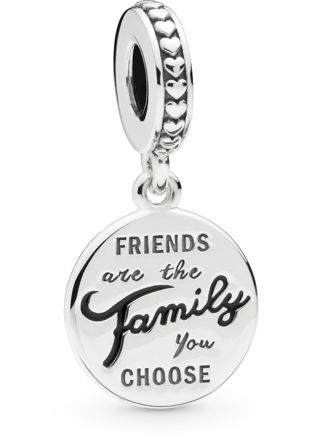 Pandora Friends Are Family charm 798124EN16