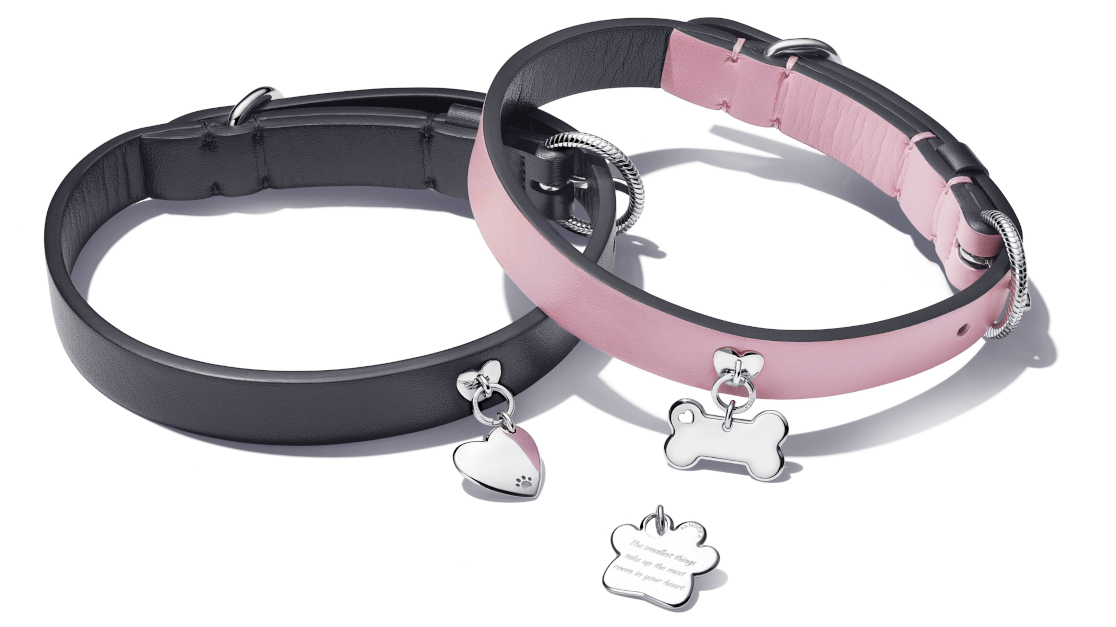 Nomination best sale dog collar
