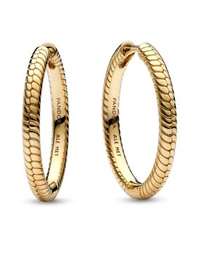 Pandora Moments Charm earrings 269532C00