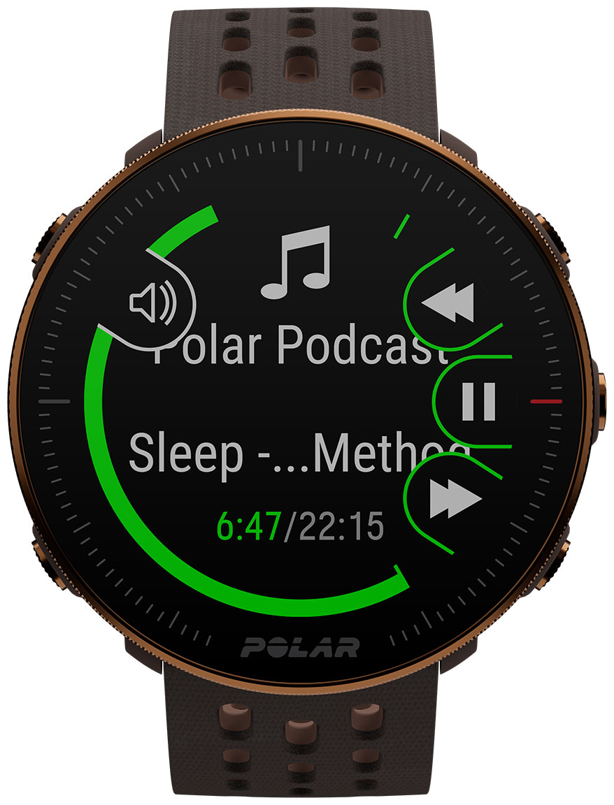 Watch face best sale polar vantage m