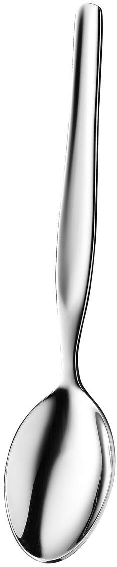 Tapio Wirkkala Tapio Dessert spoons 6 pcs 518-132-6