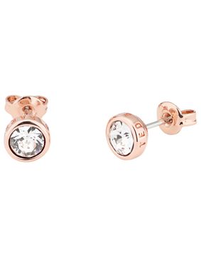 Ted Baker Sinaa Crystal Stud Earrings TBJ1084-24-02