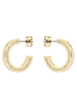 Ted Baker Senatta gold colored hoops 06-TBJ2983-02-02