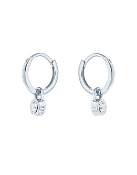 Ted Baker Sinalaa silver colored drop earrings 06-TBJ3028-01-02